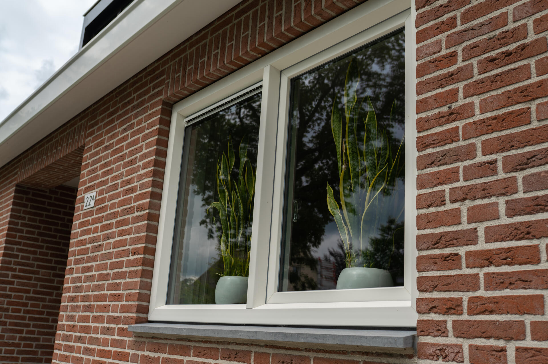 GAYKO LIFE NL116